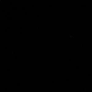 Meet your Posher, Summer